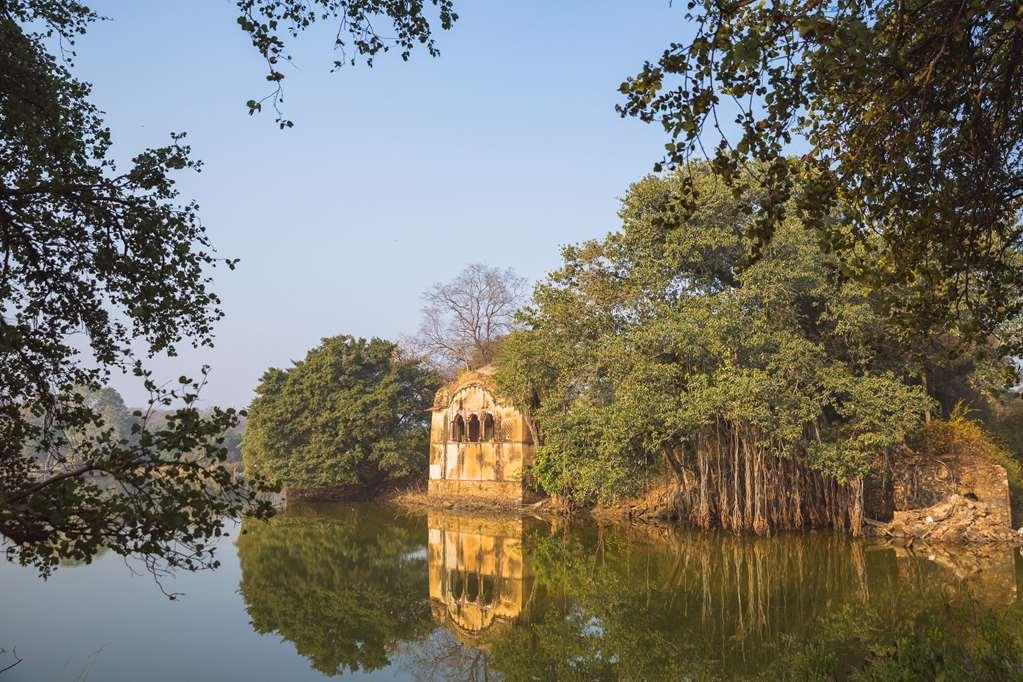 Hotel Aman-I-Khas Ranthambore Servizi foto